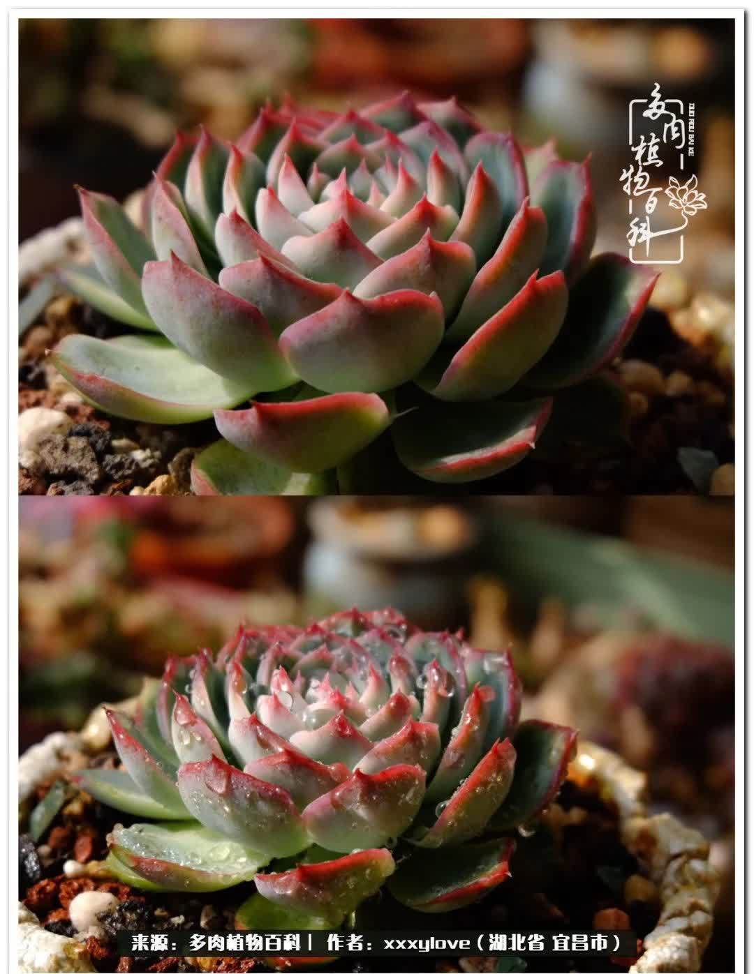 时光匆匆,一闪而逝,这世间万物的美,都值得被记录!