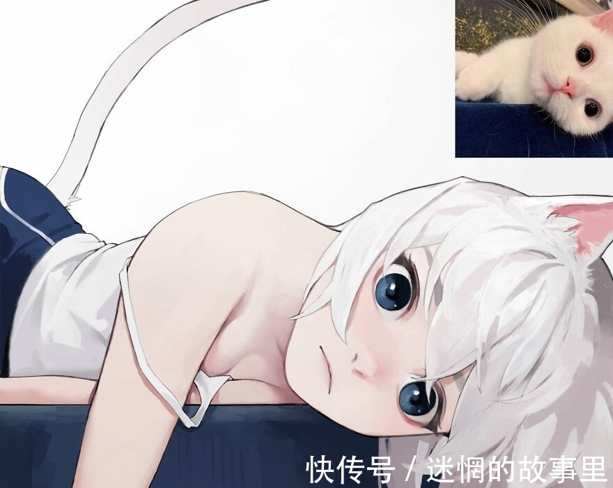 美少女|画师绘制拟人化“猫娘”，猫咪和美少女最配，赶紧给我变