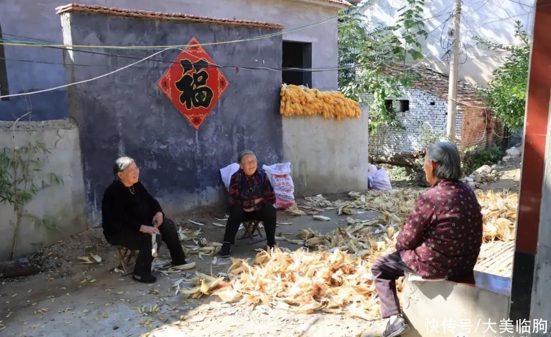 走进青石崖村，遇见老井、老树