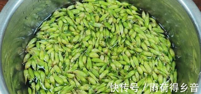 秀厨娘|立秋后，碰到它别手软，多买些切碎放冰箱保存，随吃随取，特省事！