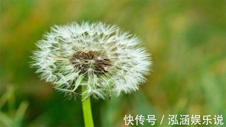 顺境&写好一个“人”,只需两笔;做好一个人,却要一生