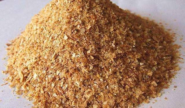 钓友|钓鱼饵料这样搭配,有助于提高上鱼频率