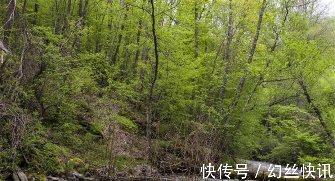 新晴&宋朝才子刘攽午睡醒来后,写下一首妙诗,从开篇到结尾句句经典!