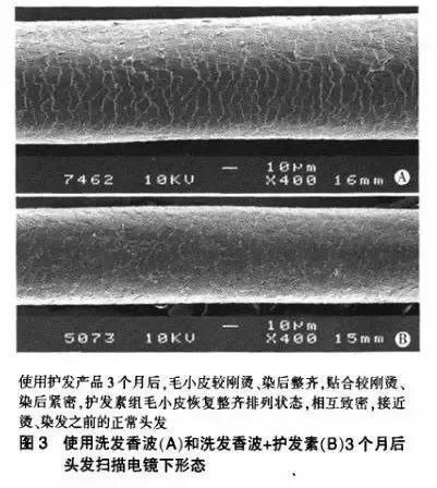 发根处|在给肌肤化妆的同时，你给自己的头发化妆了吗？