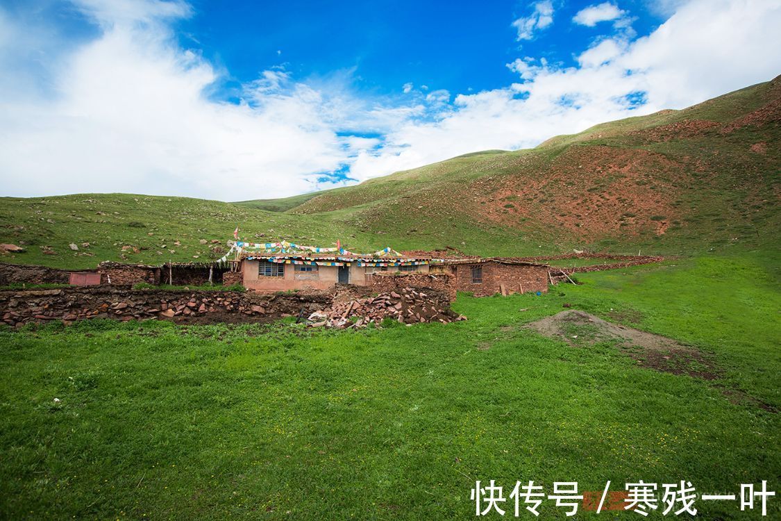 高原|这是藏族人招待贵宾的顶级美食,看着有些特别,但很多人不敢吃