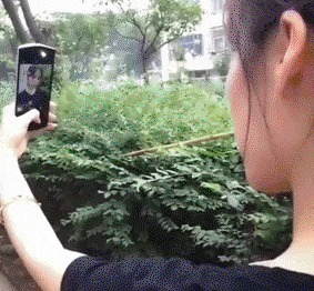 |搞笑GIF:走路玩手机后果很严重 原谅我不厚道的笑了