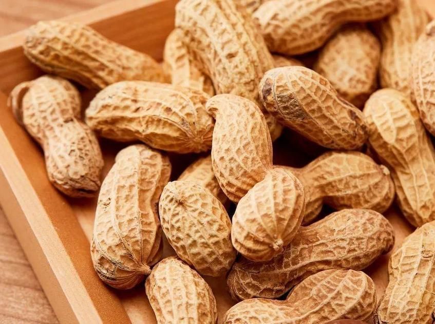 养花离不开花肥,怎么正确发酵花生壳?一共三步,一步不能少