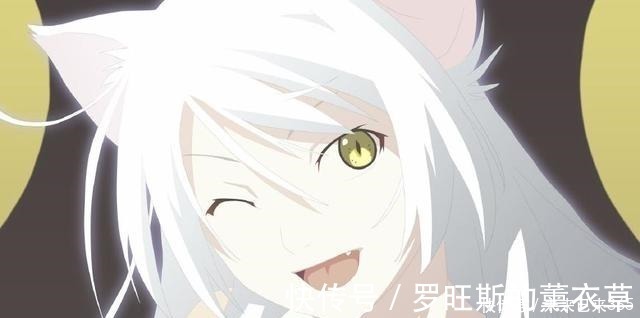 盘点|盘点动漫中的极品猫耳娘,有没有你想娶回家的呢