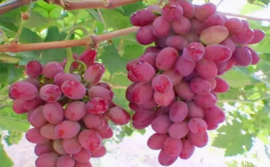 40岁的女性老的快,不妨多吃3种食物,淡化皱纹、抵抗衰老