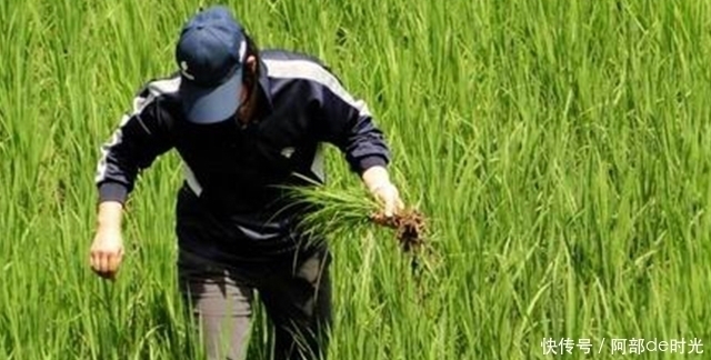 肝炎、肝硬化最怕“七种”食物,每天吃一点,让肝更健康
