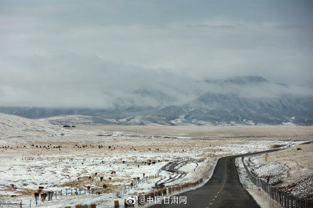 山丹马场|甘肃山丹马场深秋迎降雪 祁连山银装素裹