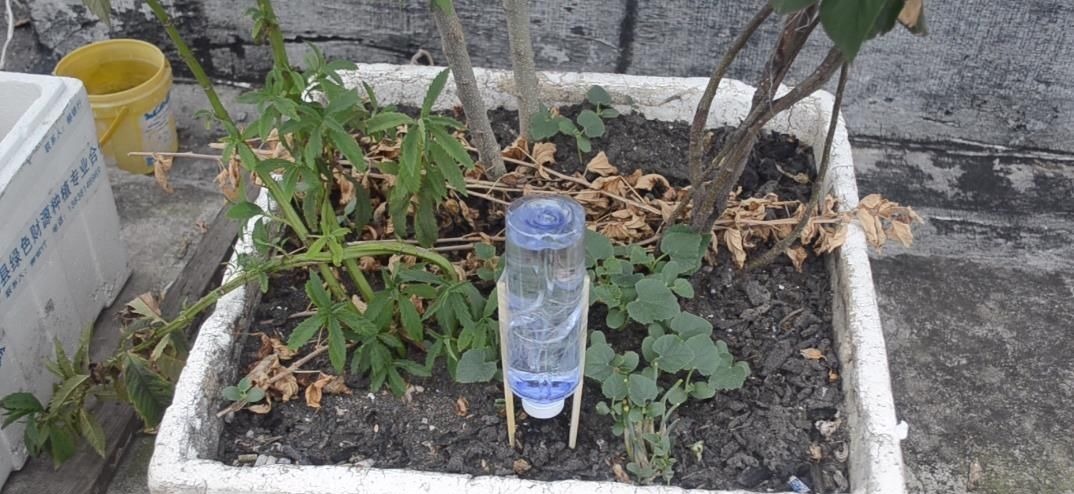 塑料瓶上绑2根筷子, 这个作用太棒了, 解决了很多家庭的烦恼