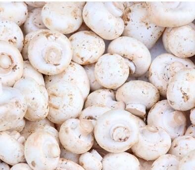 多吃一口它便能70岁前不患癌