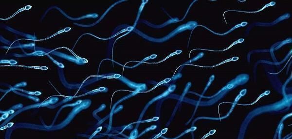 生育|男性年龄超过这个岁数,就别强求生二胎了,这4个影响很难避免