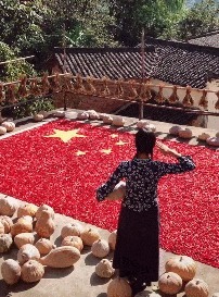 |搞笑GIF:看了这个才知道天底下都是一样的女人