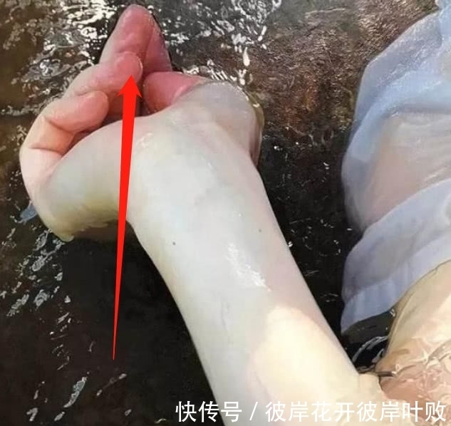 卧虎藏龙@日本画家一幅画引热议,放大20倍后.....