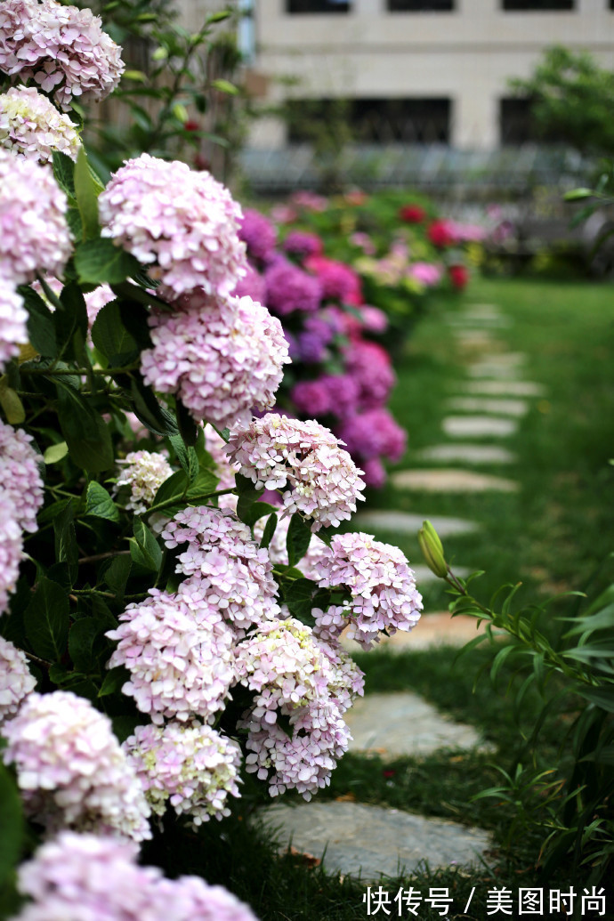阳台上|为建花园,不顾反对买了一楼带院子,3年的亲手布置朋友都羡慕了