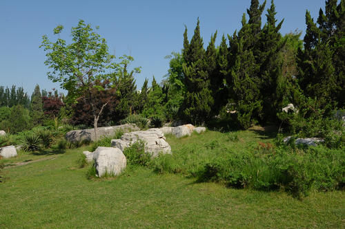 安徽又一公园走红，拥有700年历史的“古墓”，门票还免费