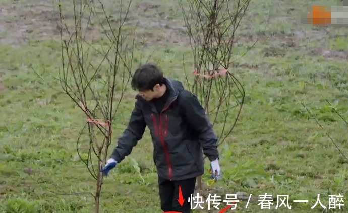 干活|《向往5》干活被质疑作秀,看嘉宾种树时的衣服,是否摆拍很显然