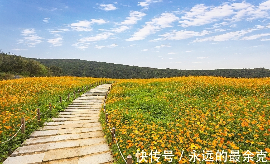 生肖|生肖羊出生在这几个月，贵人相助事业顺利，财运蒸蒸日上家庭和睦