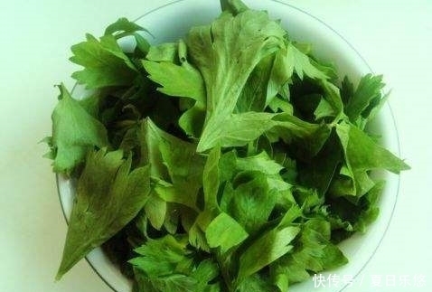 实在|芹菜叶泡水实在太厉害了，大家都离不开它，不学亏大了