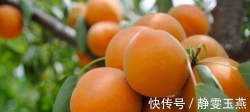 养颜|会吃的人最健康,3种食物不错过,排毒养颜、增强体质!