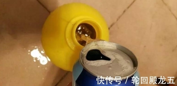 家庭|家庭养花,上哪儿给它们找肥料?这4样想弄多少就有多少