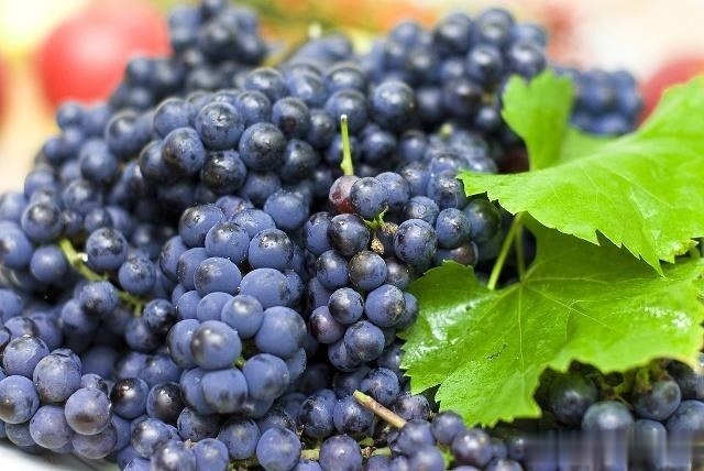 黑枸杞|男人想肾好,4种食物当“零食”,连吃7天,让肾“生机勃勃”