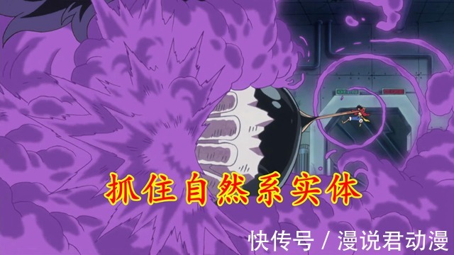 恶魔果实|海贼王误解之一：流樱和武装色霸气是上下级关系