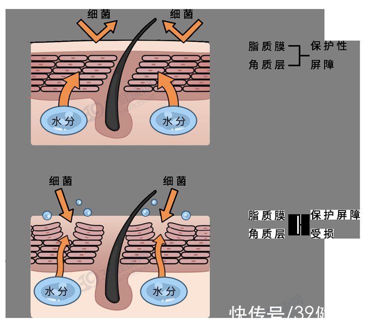 洗澡|洗澡时身上搓出来的“泥”是脏东西吗？要搓干净吗？很多人做错了