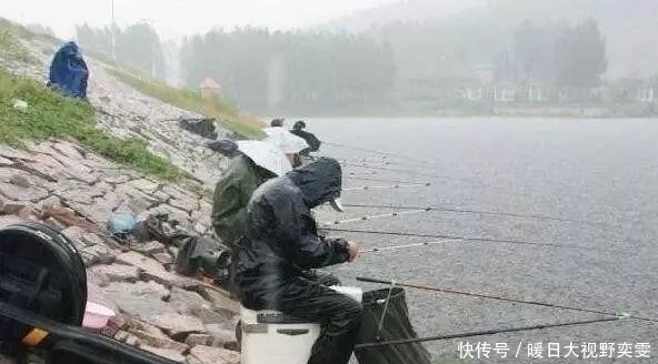 降雨前后这几种情况,与其枯坐守口,不如赶紧收杆走人