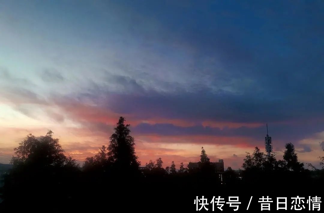 诗句|当年背到头秃的古诗,瞬间读懂了……