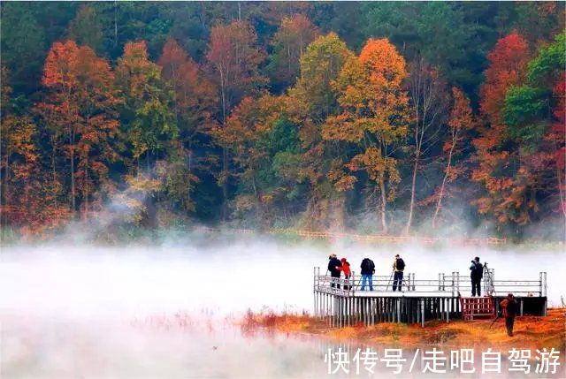 自驾|北上看雪，南下看花，这12个地方承包年末旅行