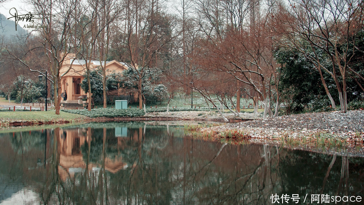 杭州的初雪，总是来得那么突然，使美景更添诗意