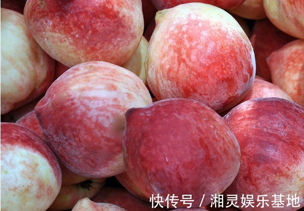 桃子|女性不想老的快,冬季养生正当时,食疗很重要,美容养颜功效好