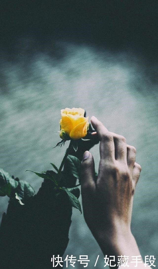 好女人!一生不可不读的25句经典语录,句句直指人心,让人赞不绝口