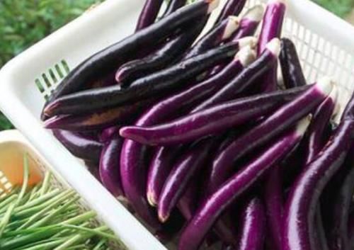 高血脂|血脂升高是因米饭吃多了？提示：3种蔬菜少吃点，或有助稳定血脂