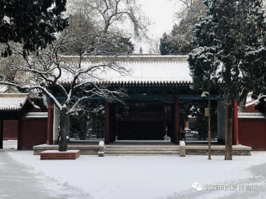 雨丝|雪伴雨丝轻飞洒，庭前疑似漫飞花 ——看文庙雪景美如画