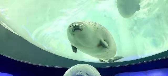 物资|物资宝箱刷新位置,全图共五处,物资堪比空投!