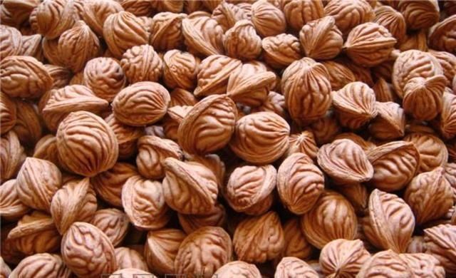 烂桃子一个都不能扔,放在家里太值钱了,下次别再扔掉,学学