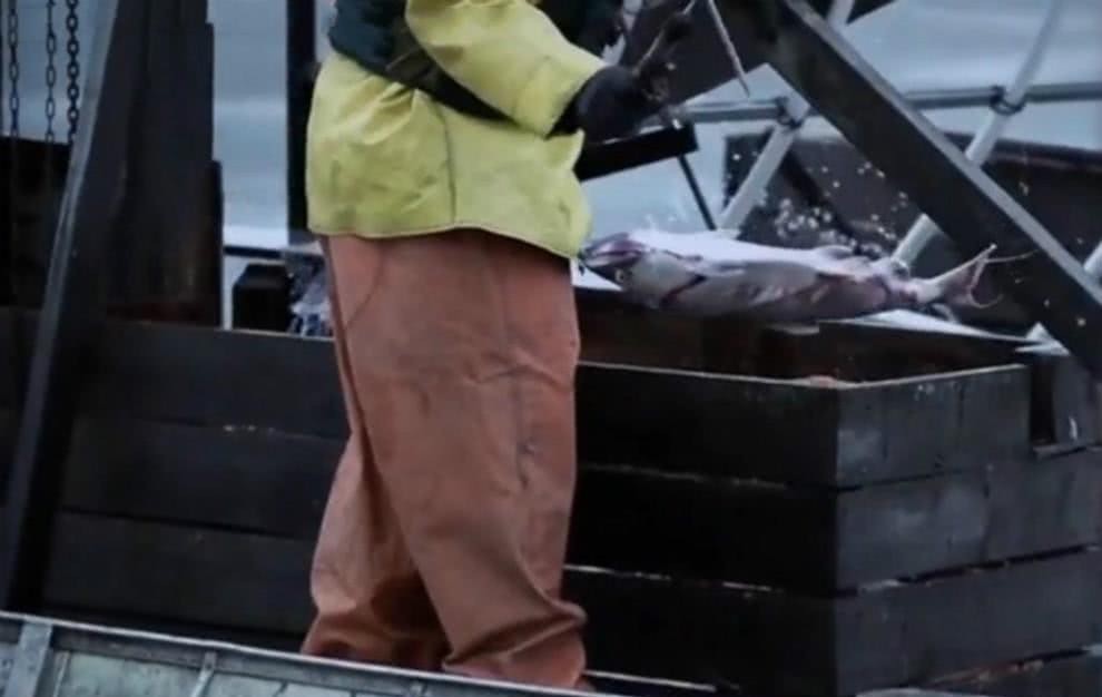 馒头|诸葛亮第五大发明:蜀国因此吃上饱饭,现在美国人用这项发明捕鱼