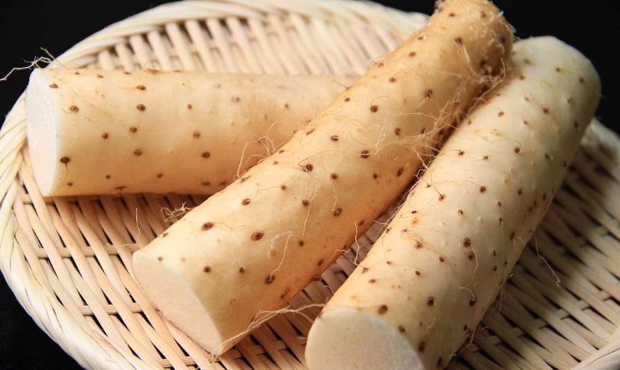 山药|立秋后,多给家人吃“5白”,补气润肺,身体不闹毛病