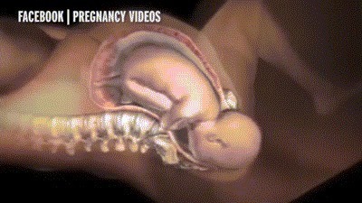 剖腹产|准爸爸陪产“生孩子下面还得剪开吗”?产科医生笑回:这叫侧切!