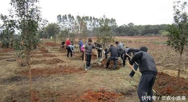 你可知道农村俗语“五十不造屋, 六十不种树”的真正含义!