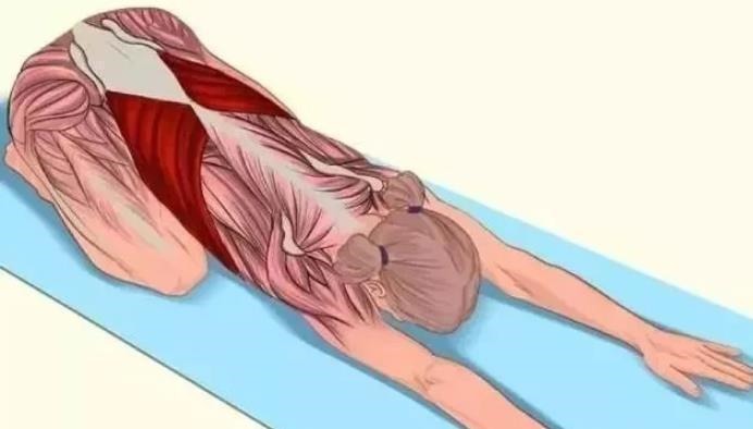 肌肉|全身拉筋3D图解,一步到位,在家也能强身健体