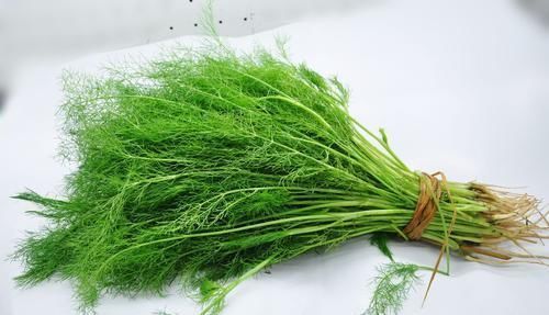 冬天,遇到这菜我从不会放过,一次性买上好几斤,常吃家人脾胃好