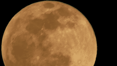 每日最佳情报｜今年第一次超级月亮来啦！恭喜壹粉喜提红包