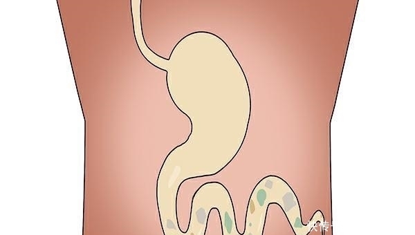 “一勺猪油五副药”,是真的还是假的?猪油对身体有好处吗?