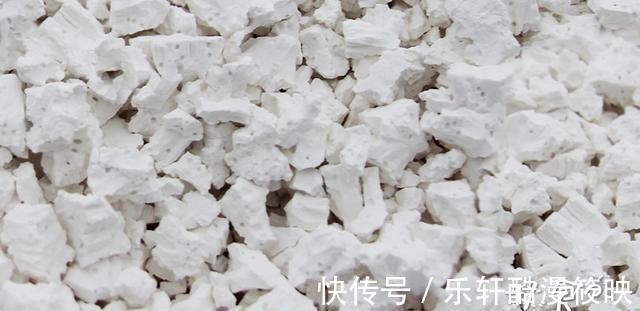 红枣|女人过了30岁,这3种食物可常吃,好吃又养人,面似桃花显年轻