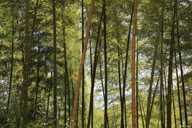  气度|易经智慧，坤卦:以品格立人，以气度处世